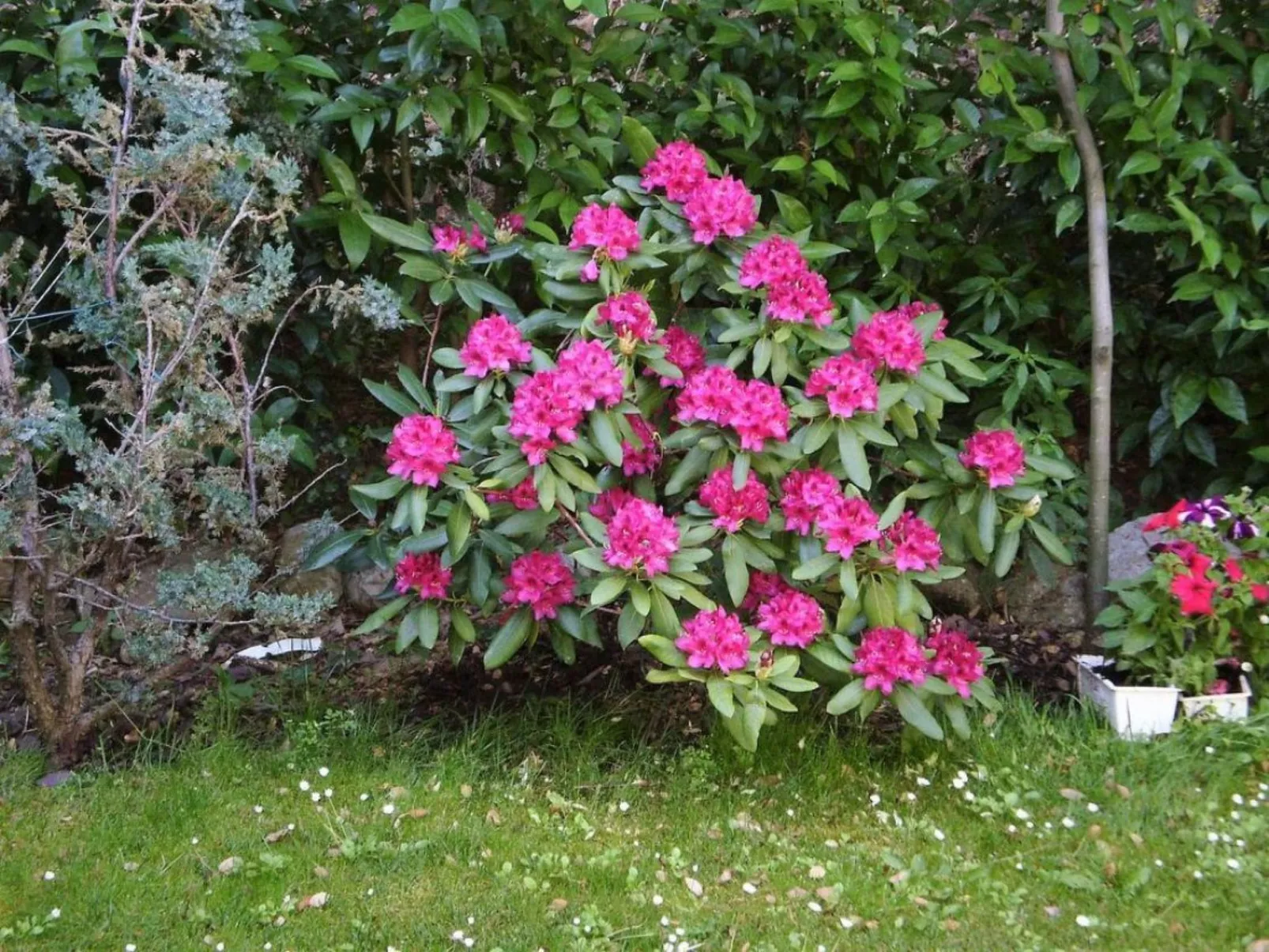 Landgut mit Garten, Grill und Terrasse-Outside