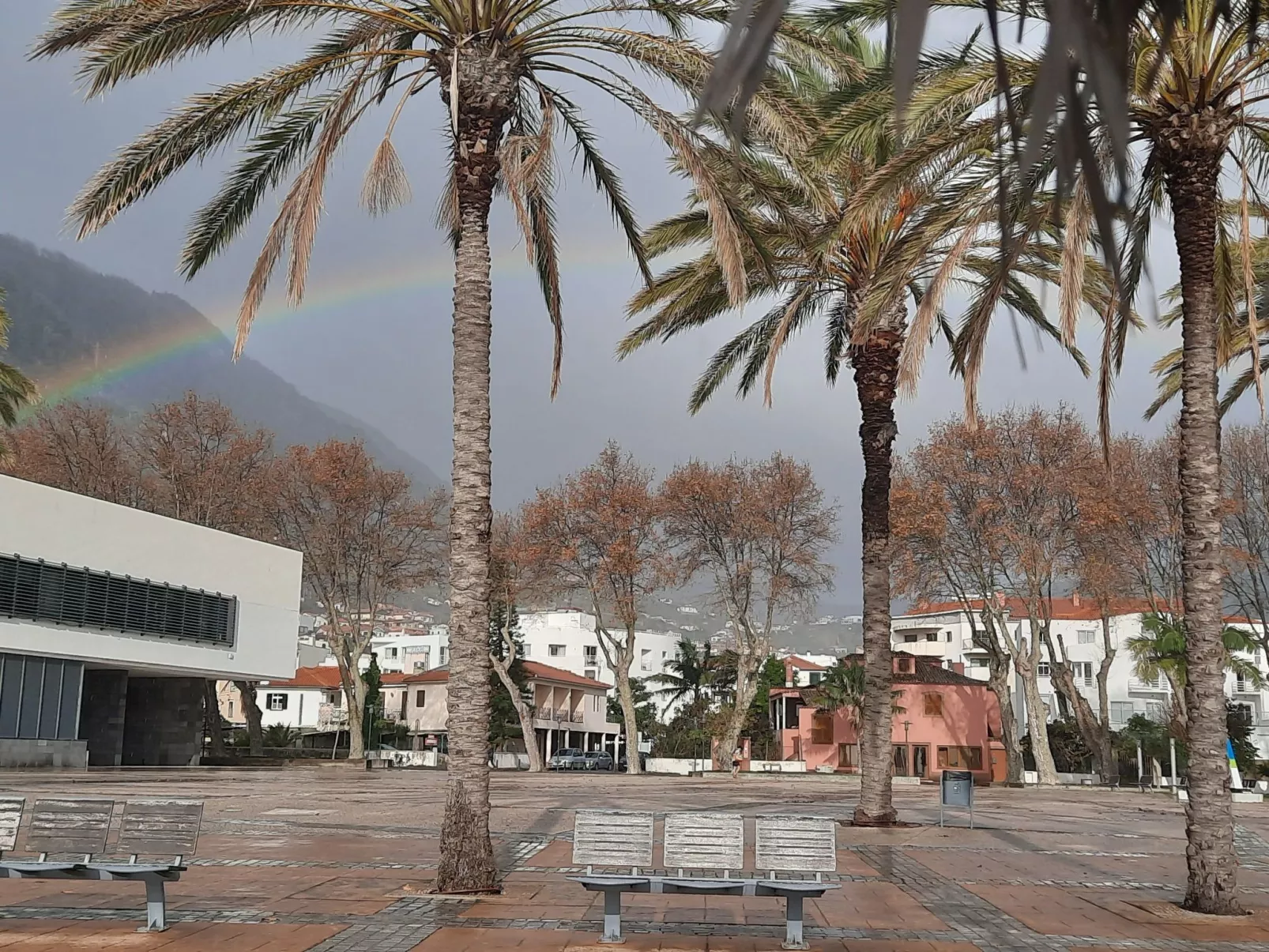 Sunny Beach Machico Wohnung-Draußen