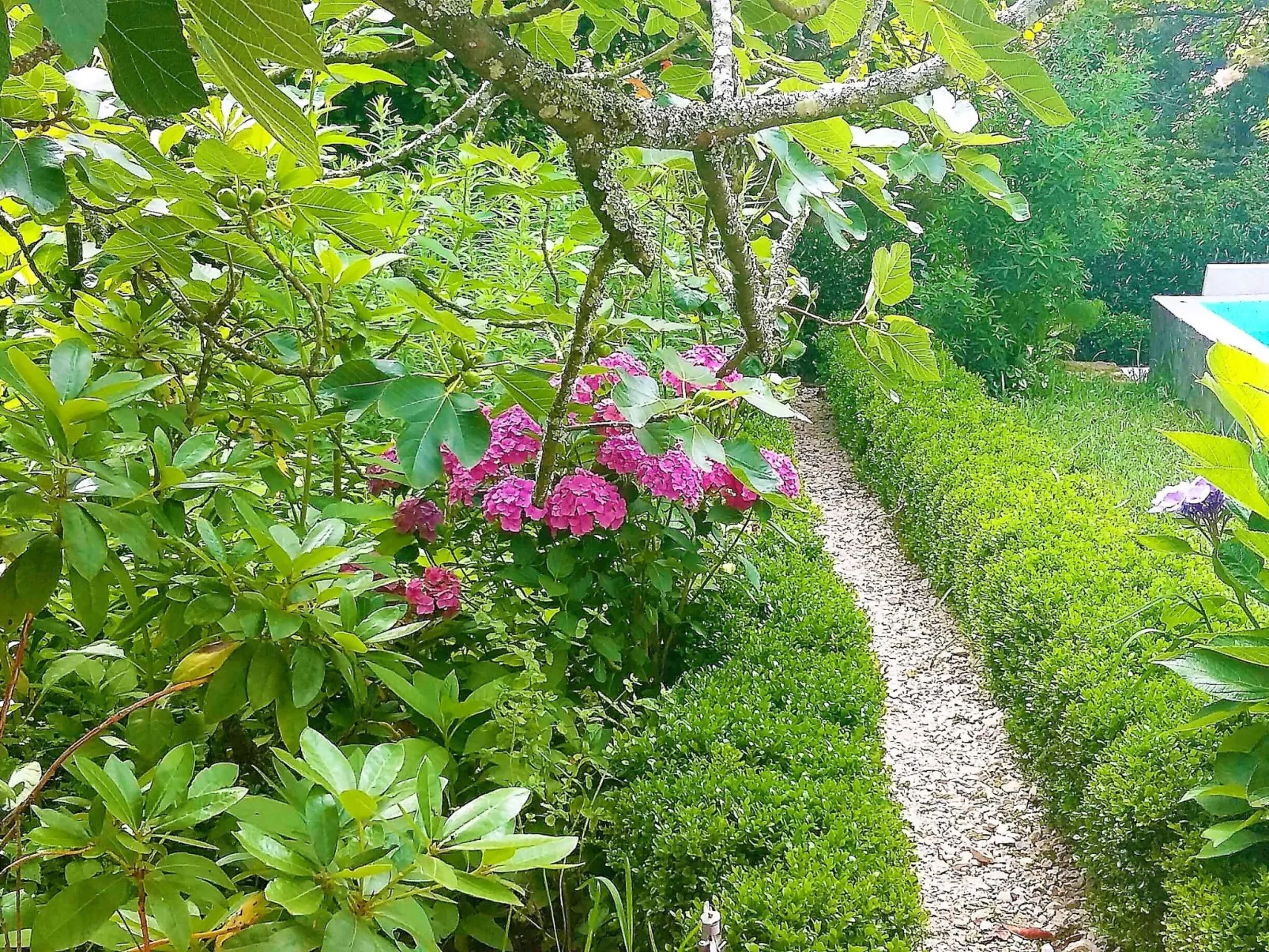Quinta D'Avó Amélia, wunderschönes Landhaus zwischen den Bergen und dem Meer-Draußen