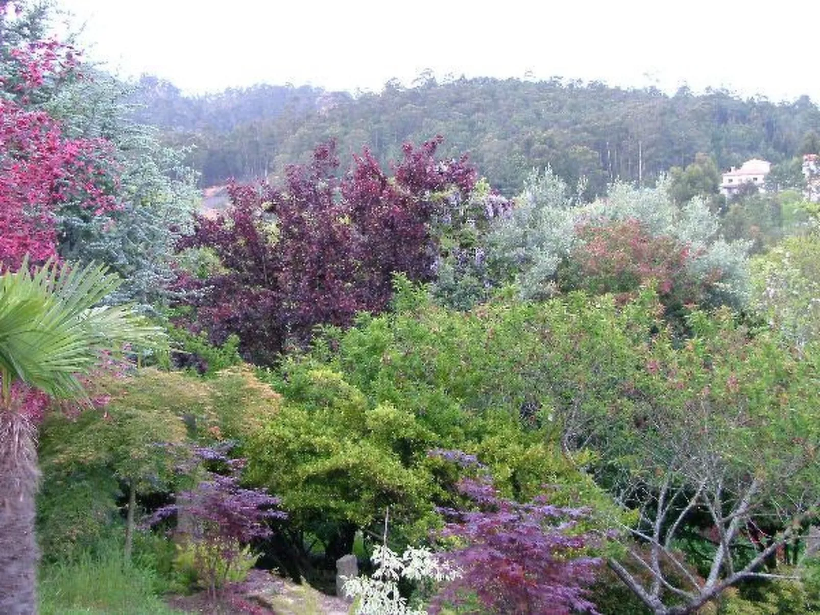 Finca "Quinta do Bento Novo"-Outside