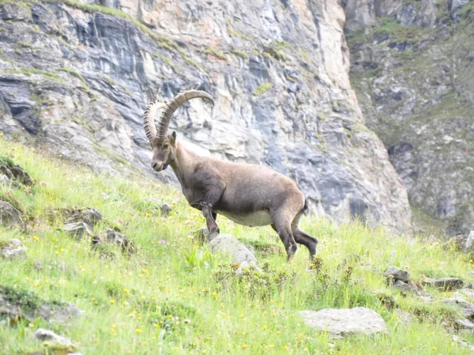 Chalet 3 Zi. in ruhiger Lage, in der Nähe von Verbier-Image-tags.info