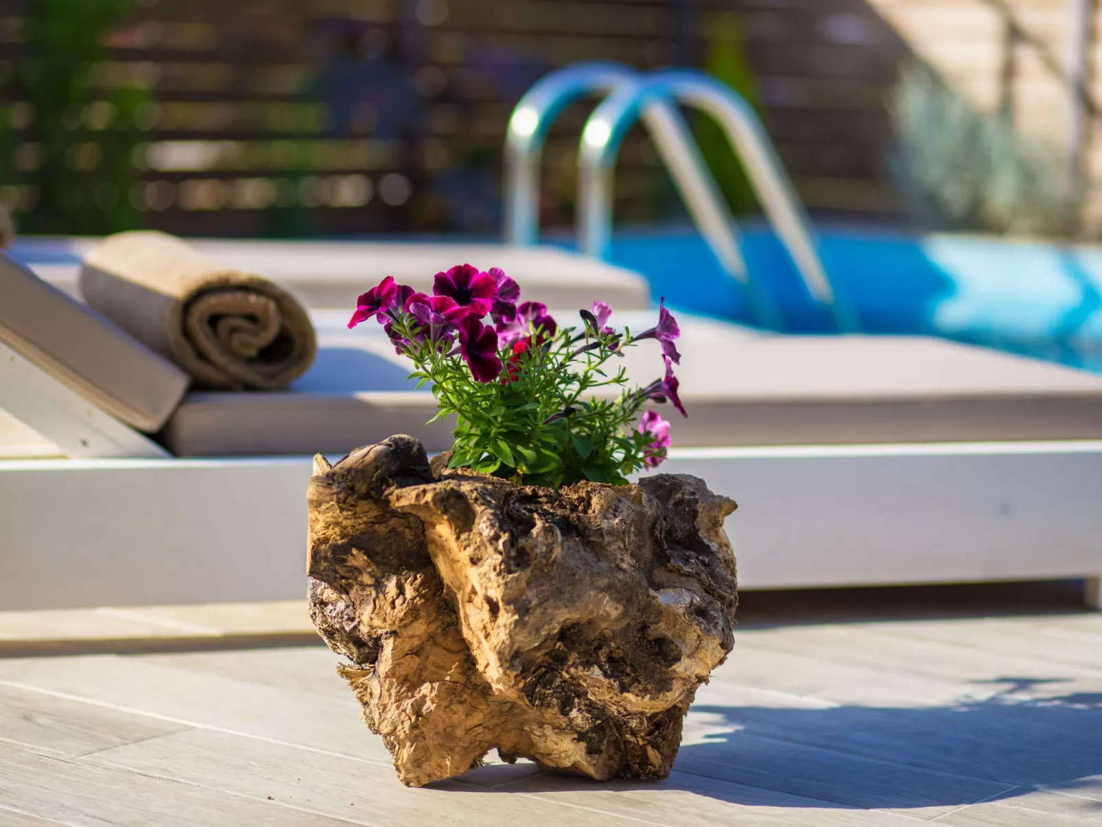 Ferienvilla "Komfort"-Outside