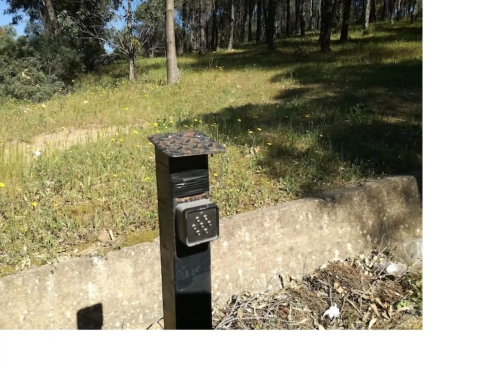 Villa Giancarla-Outside