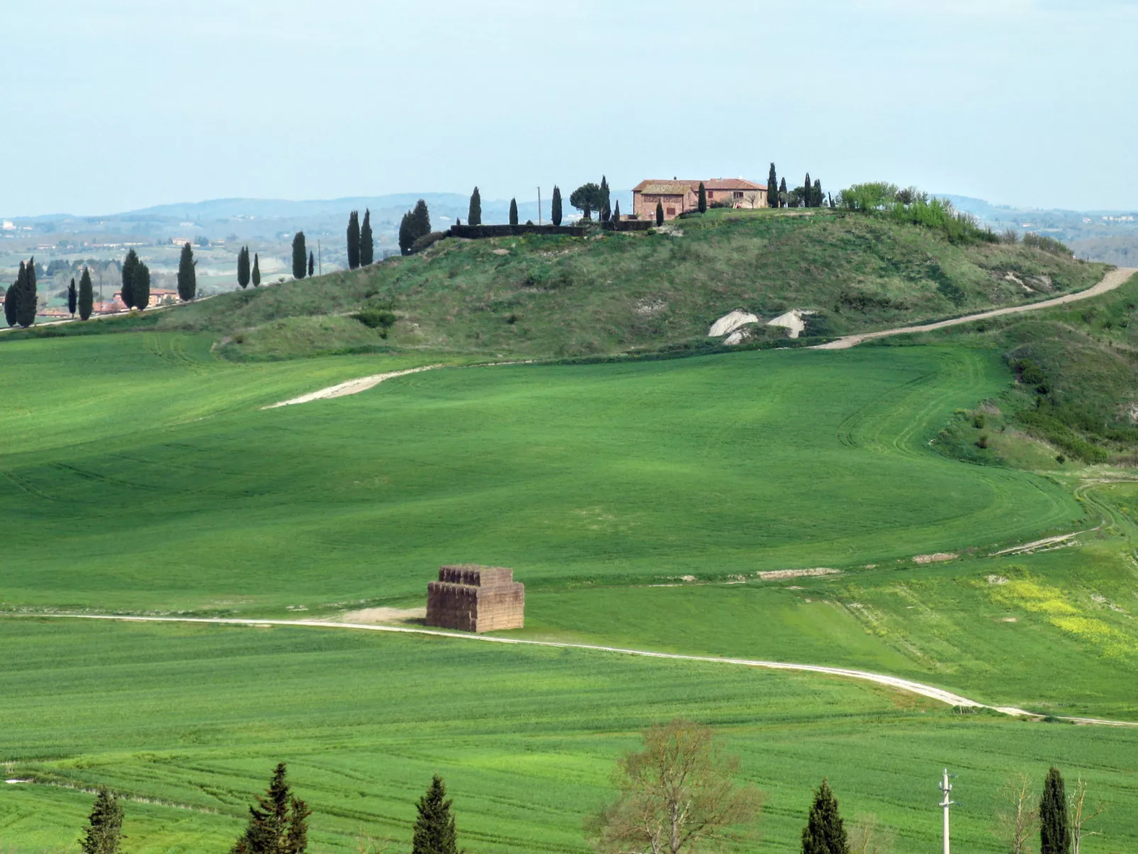 Tenuta "Podere Osteria"-Environnement
