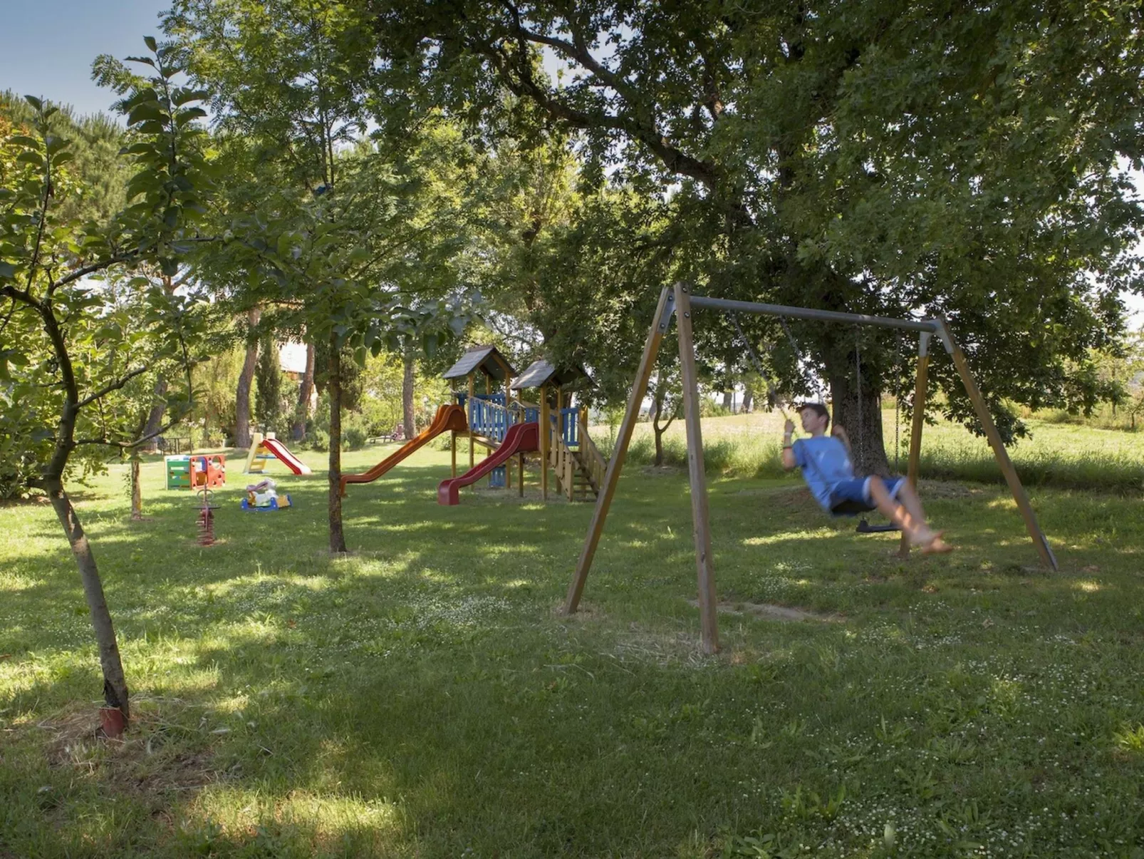 'Molinello albicocco'-Image-tags.info