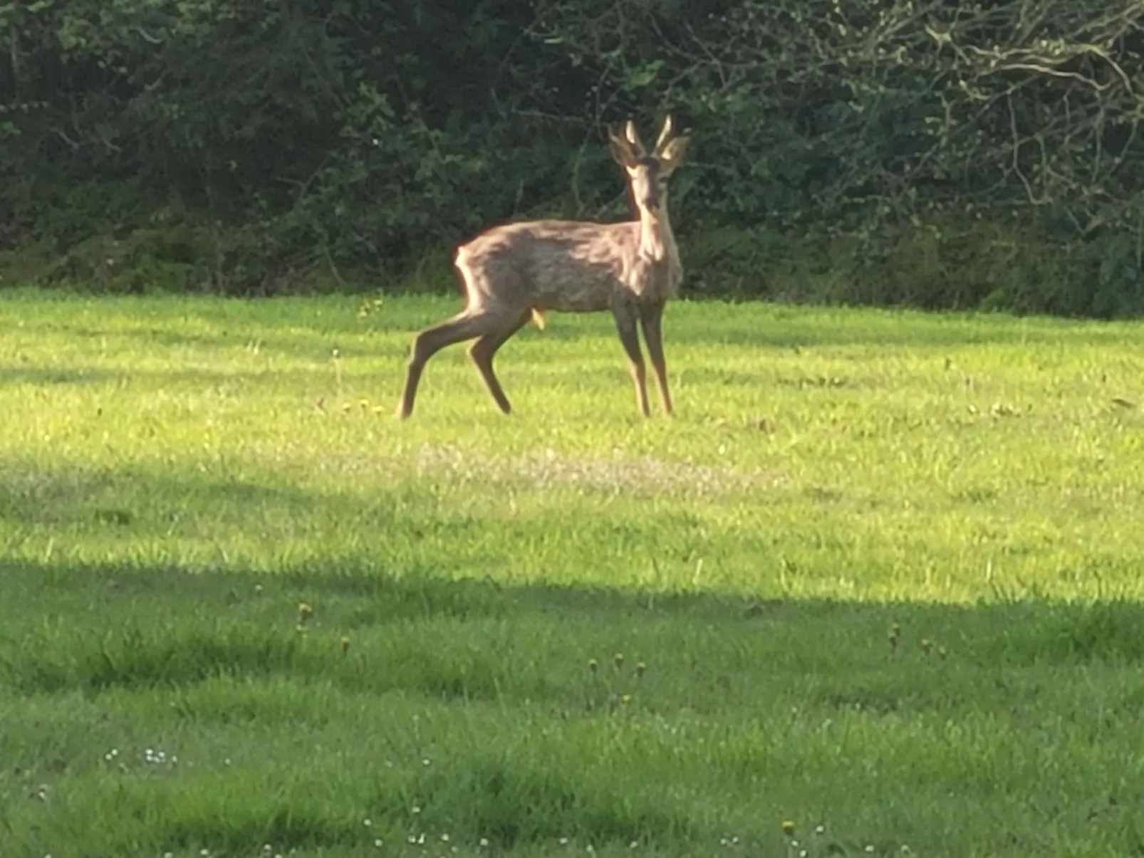 Renoviertes Ferienhaus in der Nähe von Cabourg-Deauville-Lisieux-Outside