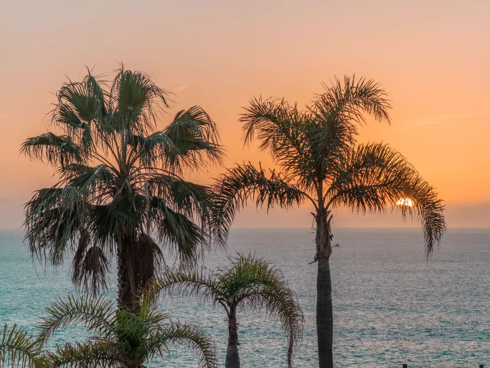 Wohnung "Madeira Palace Erste Linie"-Dehors
