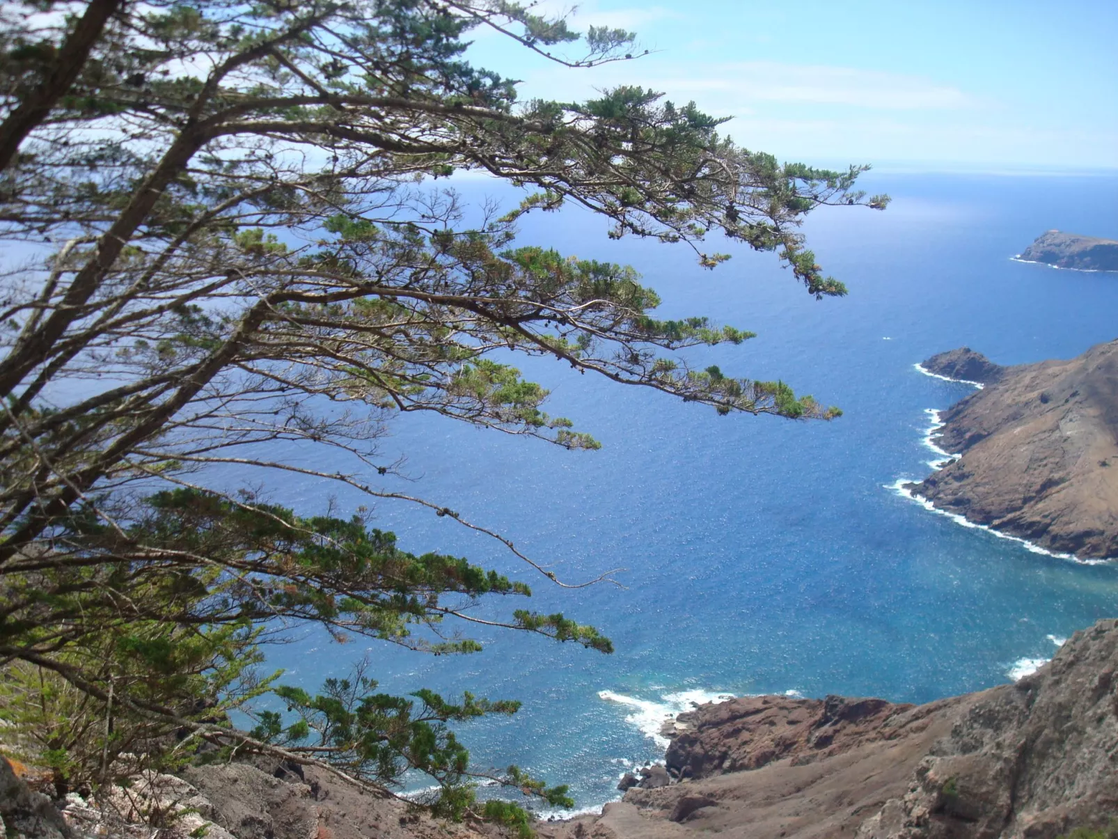 "Ines" mit Terrasse-Image-tags.info