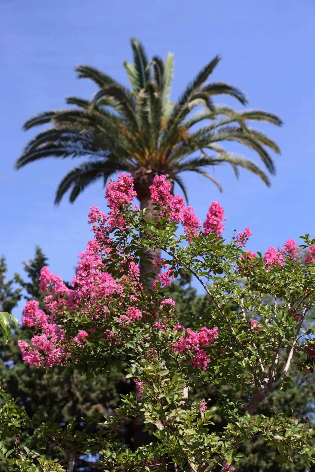 Appartement mit Infinity-Pool-Dehors