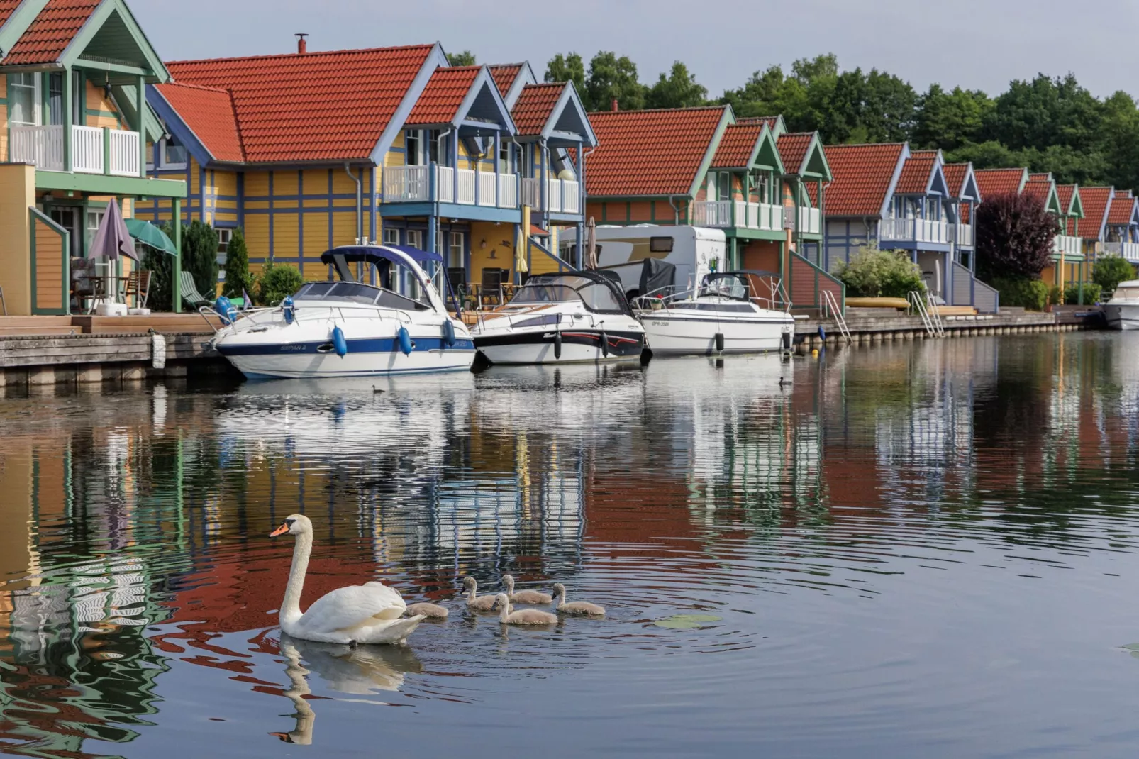 Hafendorf Rheinsberg 2-Areas summer 1km