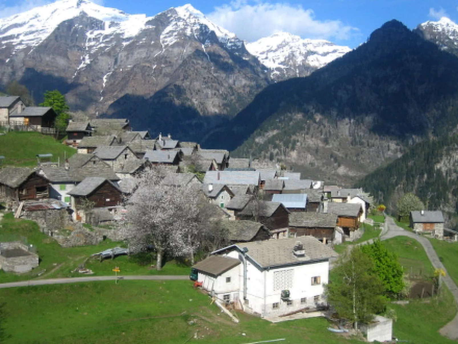 Wohnung mit Bergblick-Area