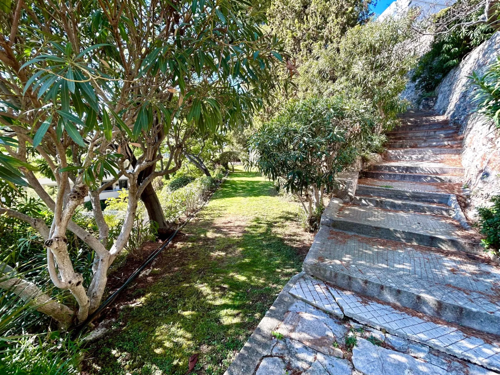 Le Panomagique-Dehors