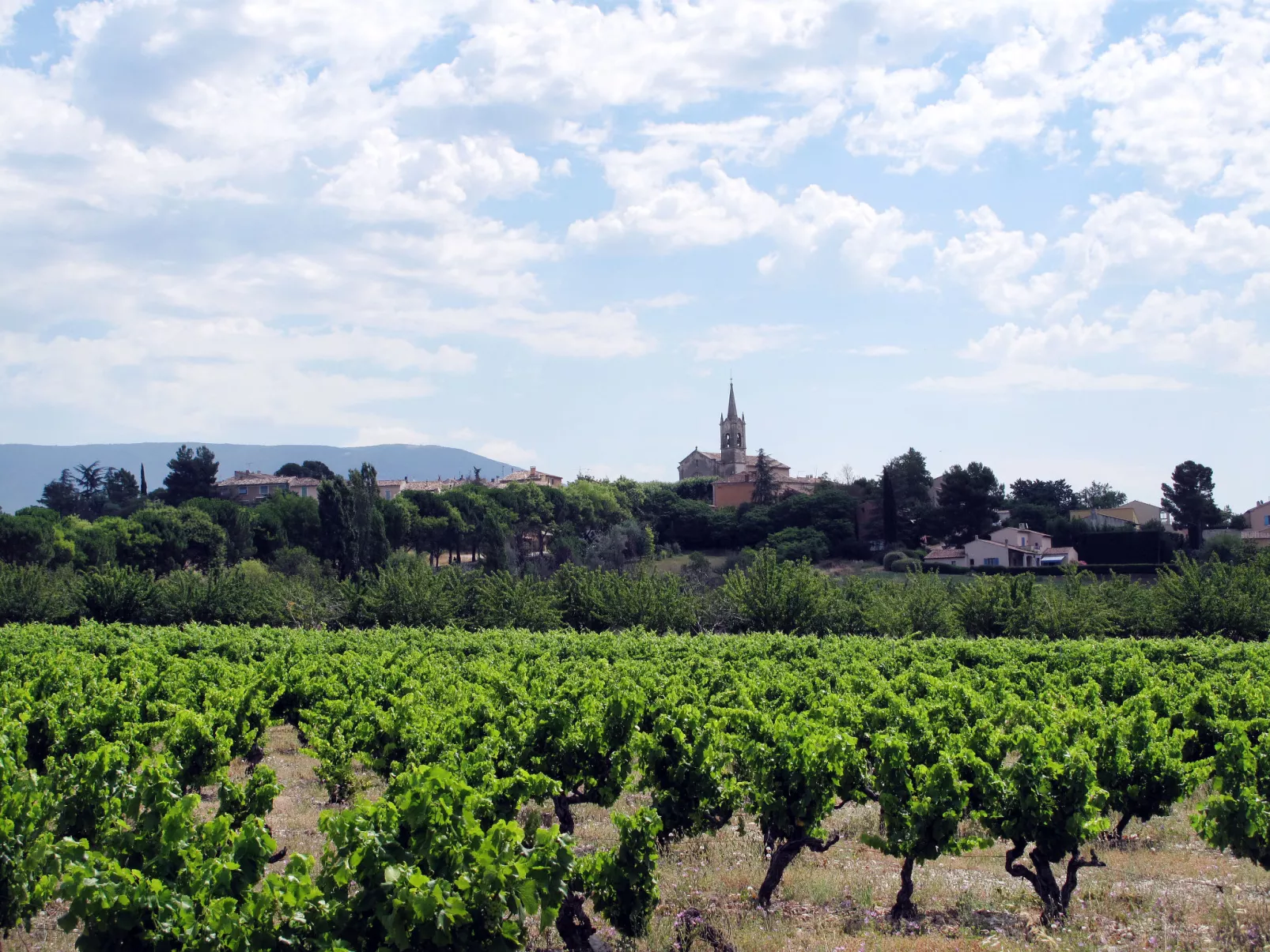 Provenzalisches Ferienhaus mit Charme auf dem Land mit Pool