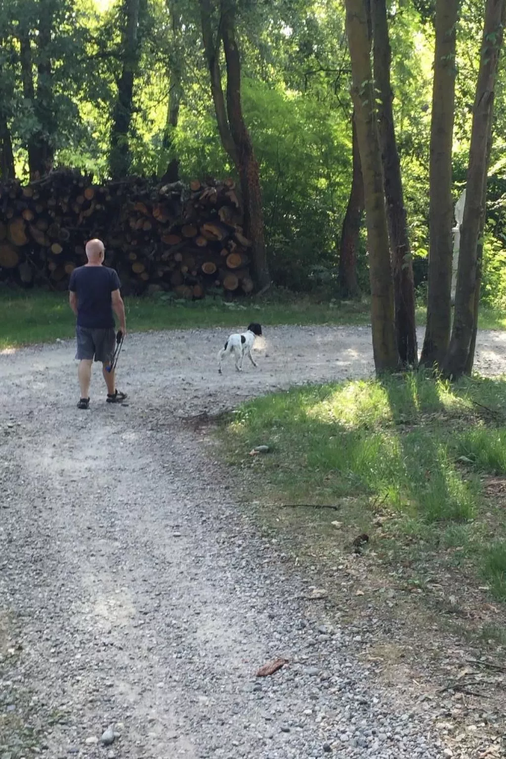Wohnung in Brusasco mit Garten, Terrasse und Grill