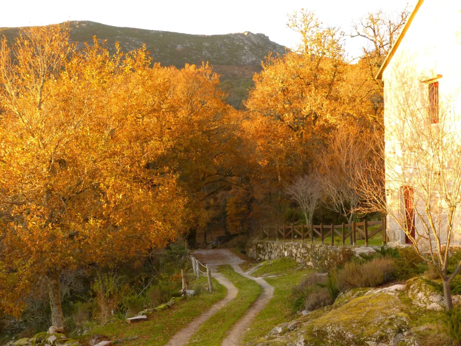 Finca "Casa do Portomartiño"-Outside