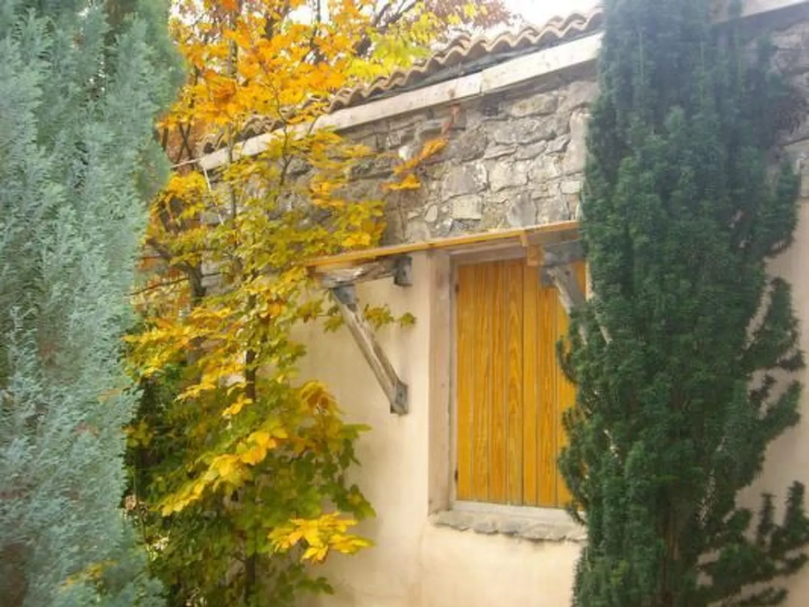 La Casita-Image-tags.info