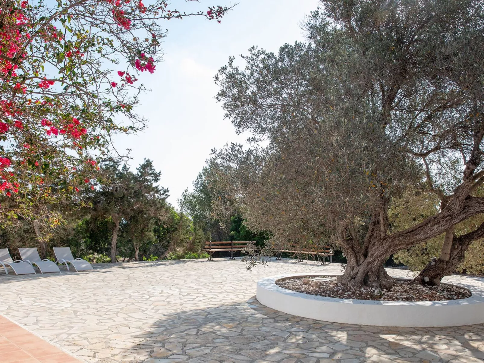 Casa Llevant 4 pax-Image-tags.info