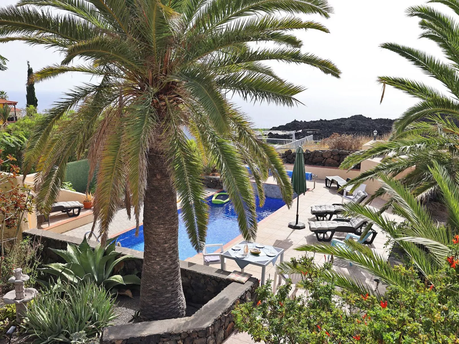 Perla del Sol-Image-tags.info