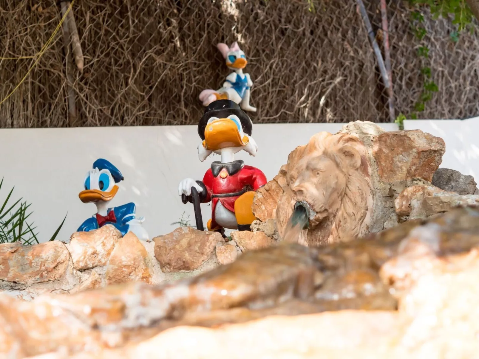 Ferienvilla "Villa Ocean View"-Dehors