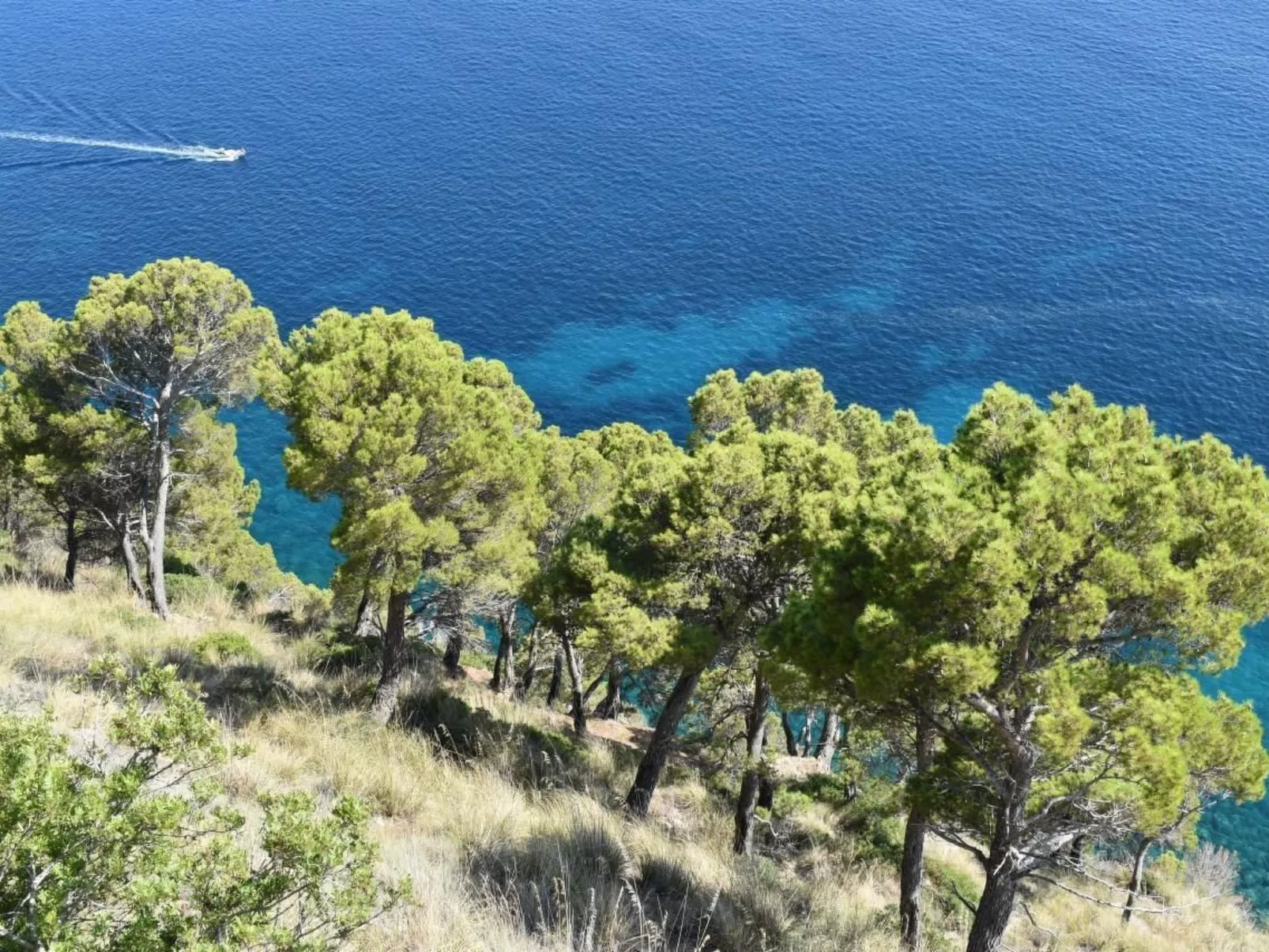 Schöne Ferienwohnug-Outside