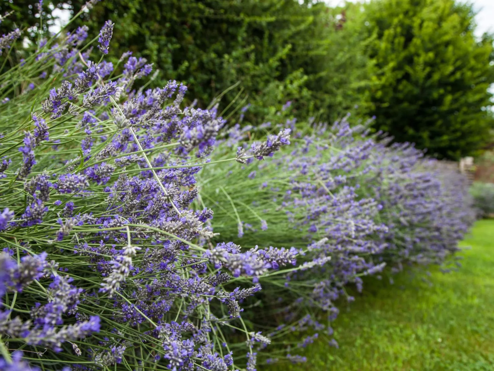 Wohnung im ersten Stock-Dehors