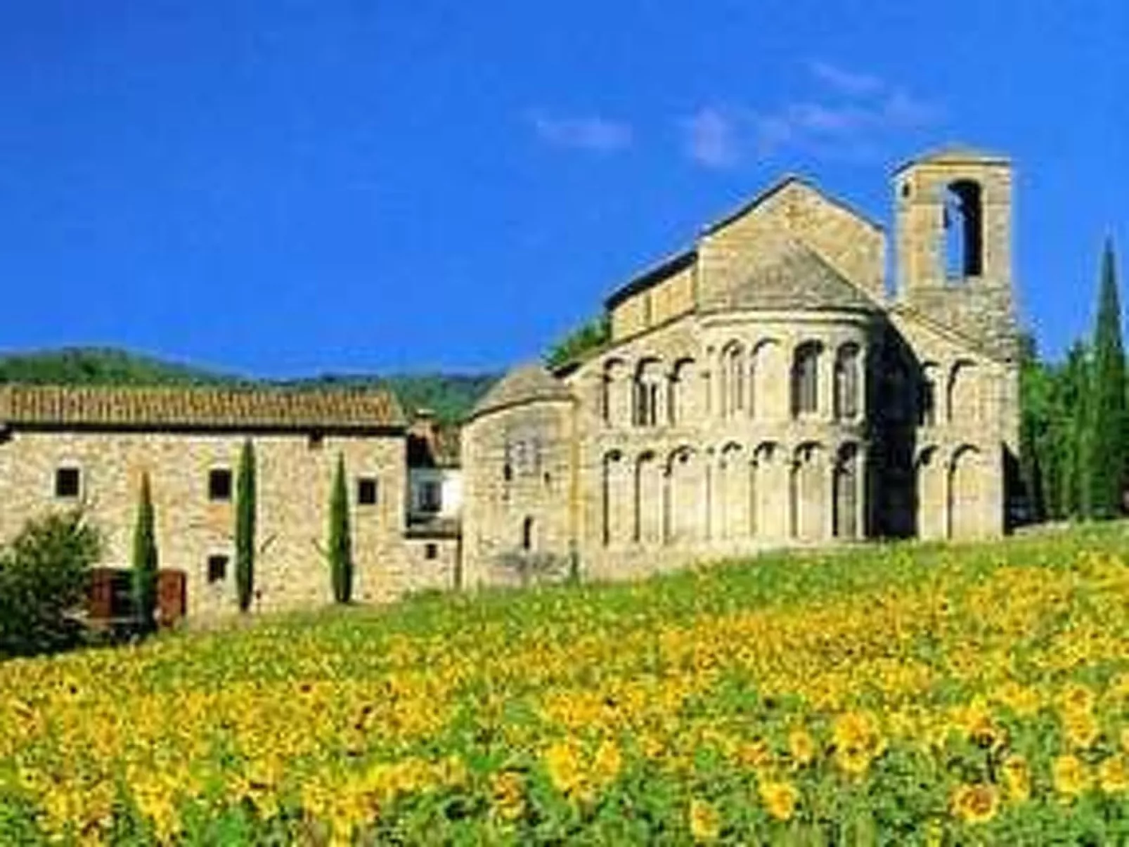 Borgocasalino - La Corte