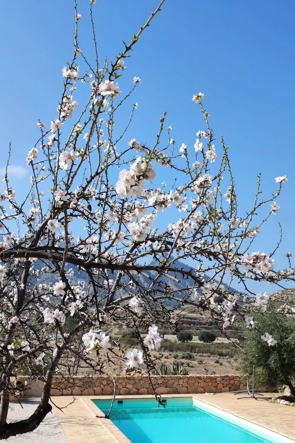 Domicilio de Vida-Draußen