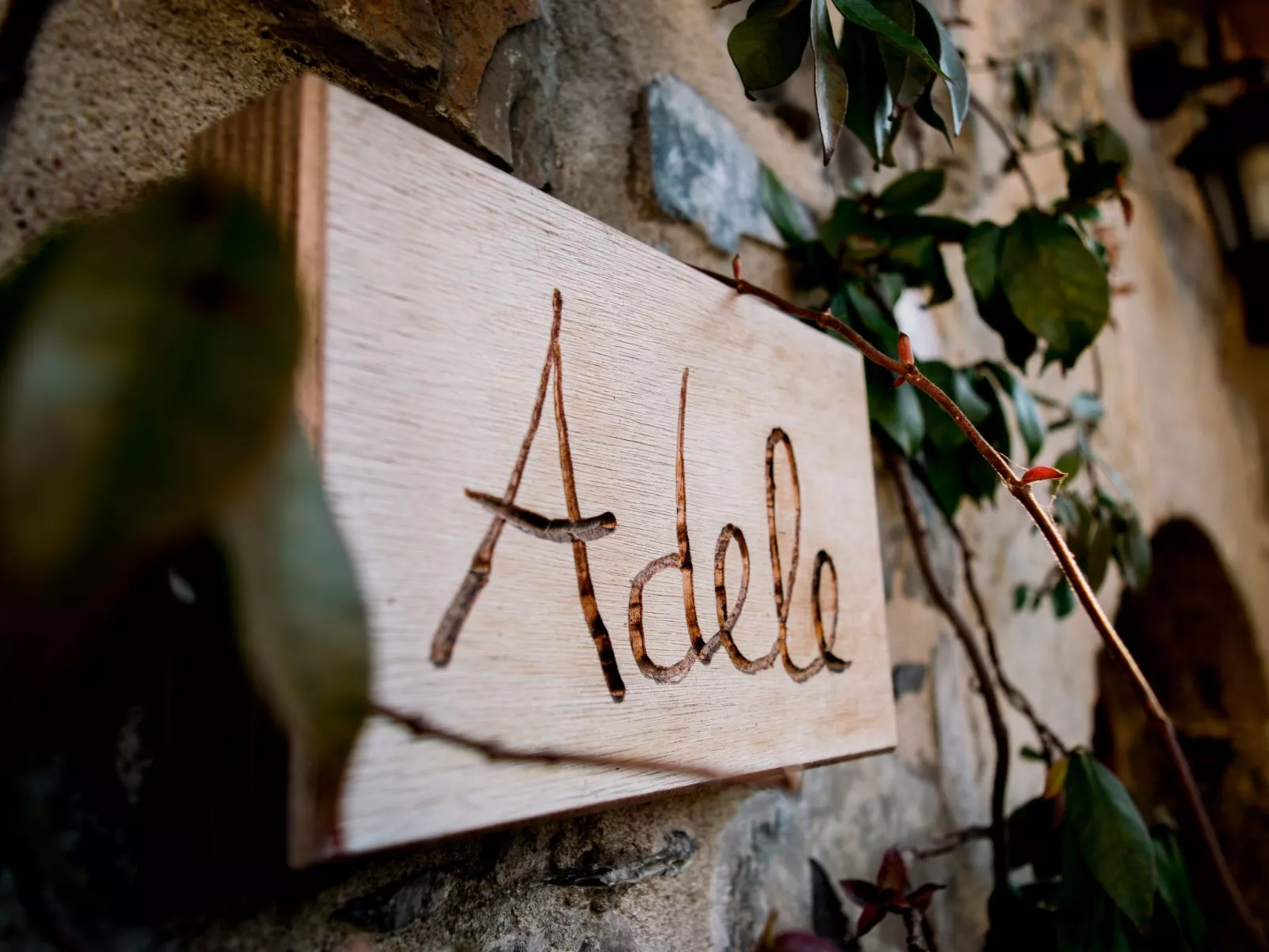 Studio-Apartment mit Balkon mit Seeblick und Zugang zum Garten