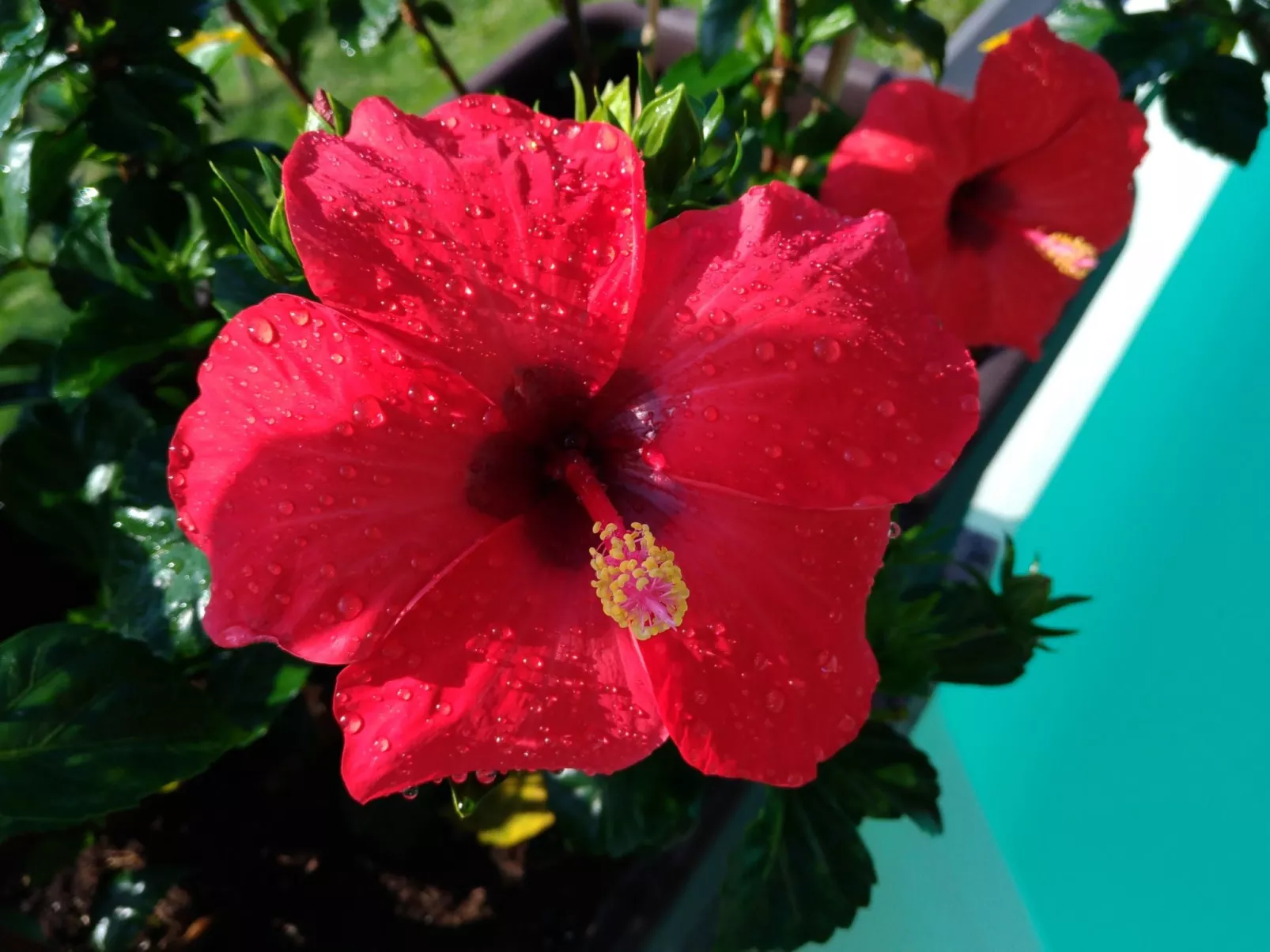 Wohnung mit Schwimmbad und fantastischem Seeblick-Dehors