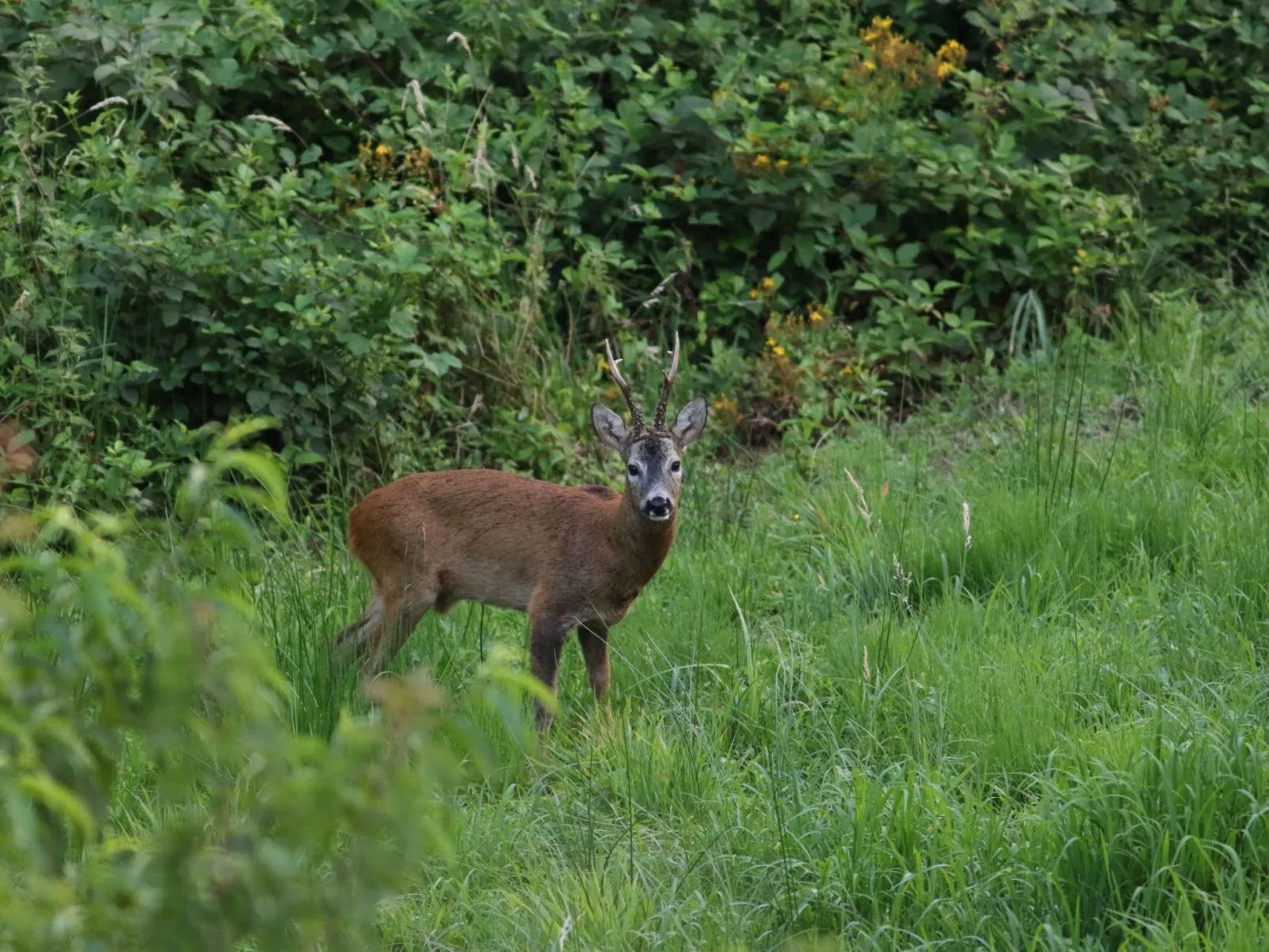 Casa Bella Vista-Image-tags.info