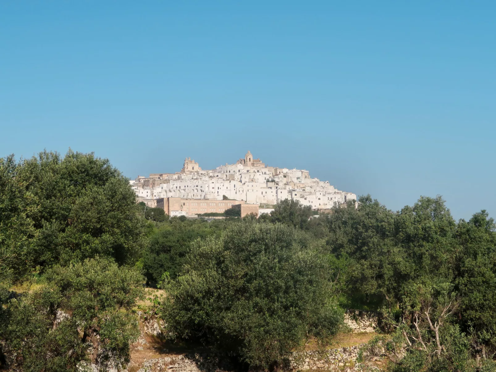 11 Trulli in Martina Franca mit privatem Pool-Environnement