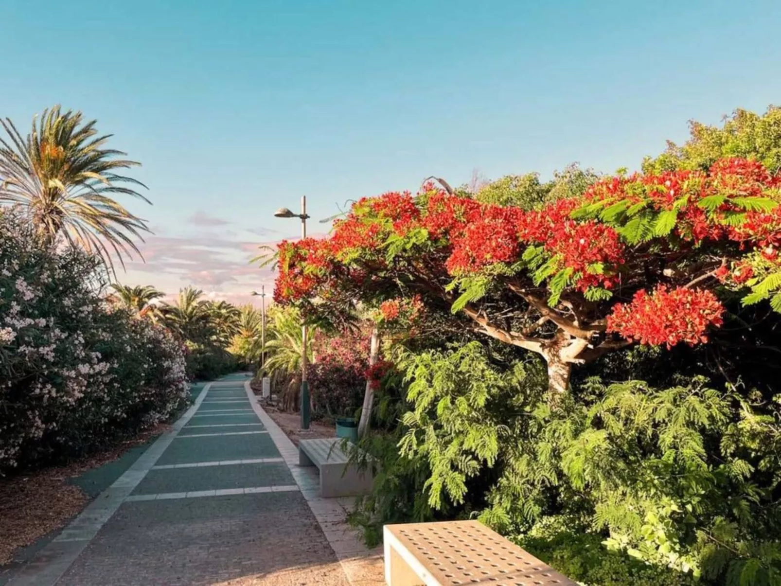 Casa Del Sol Rio-Outside