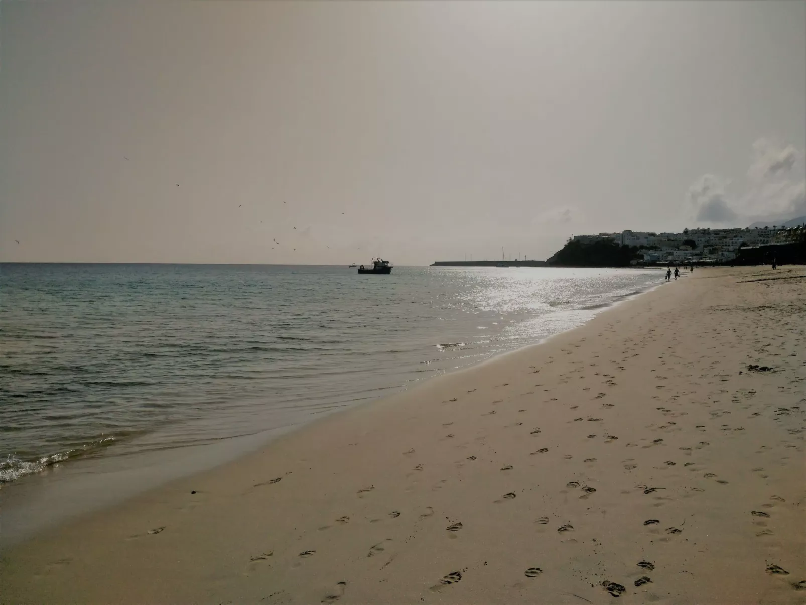 Wohnungen Palm Garden