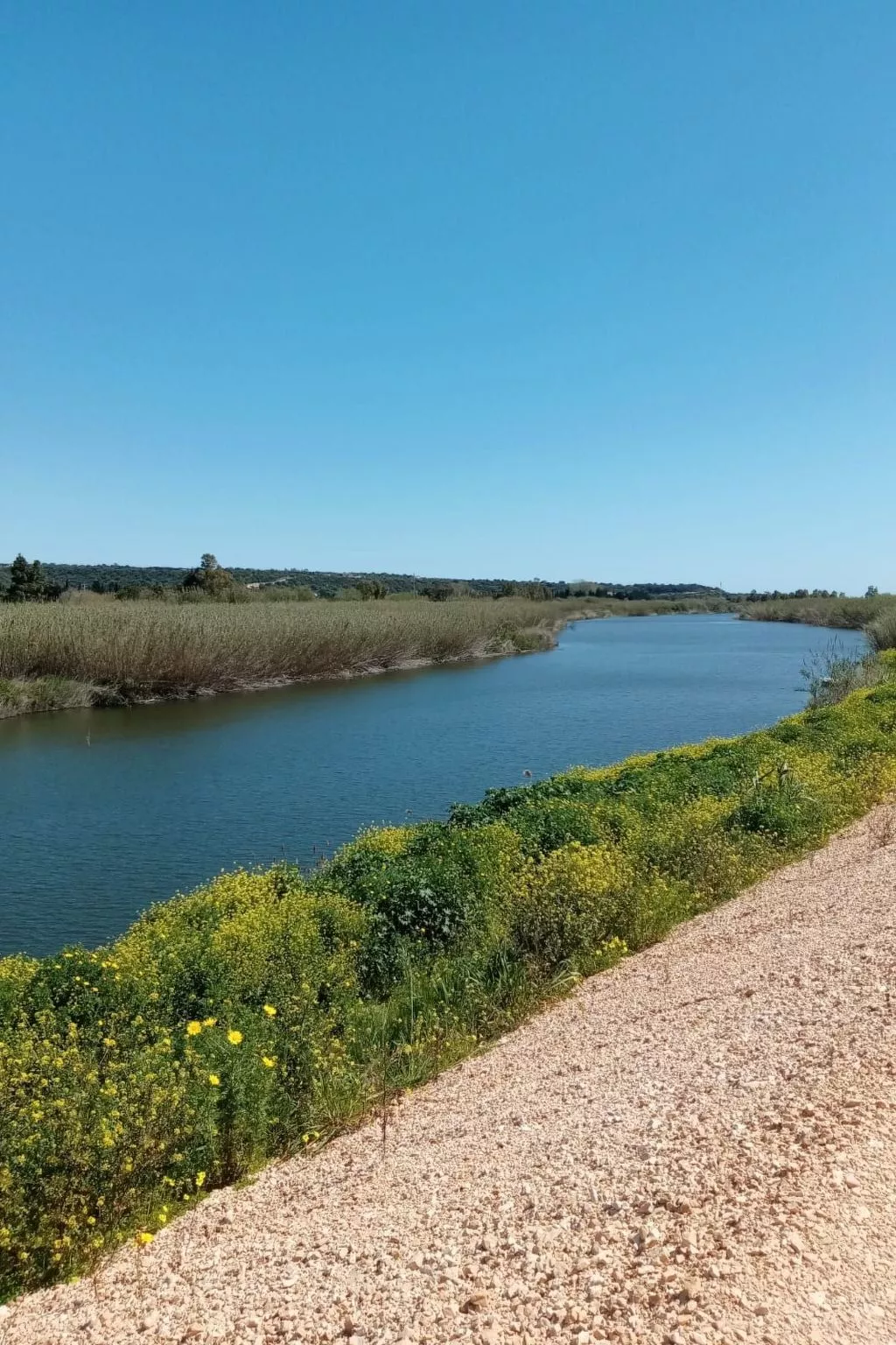 Mit Terrasse-Image-tags.info