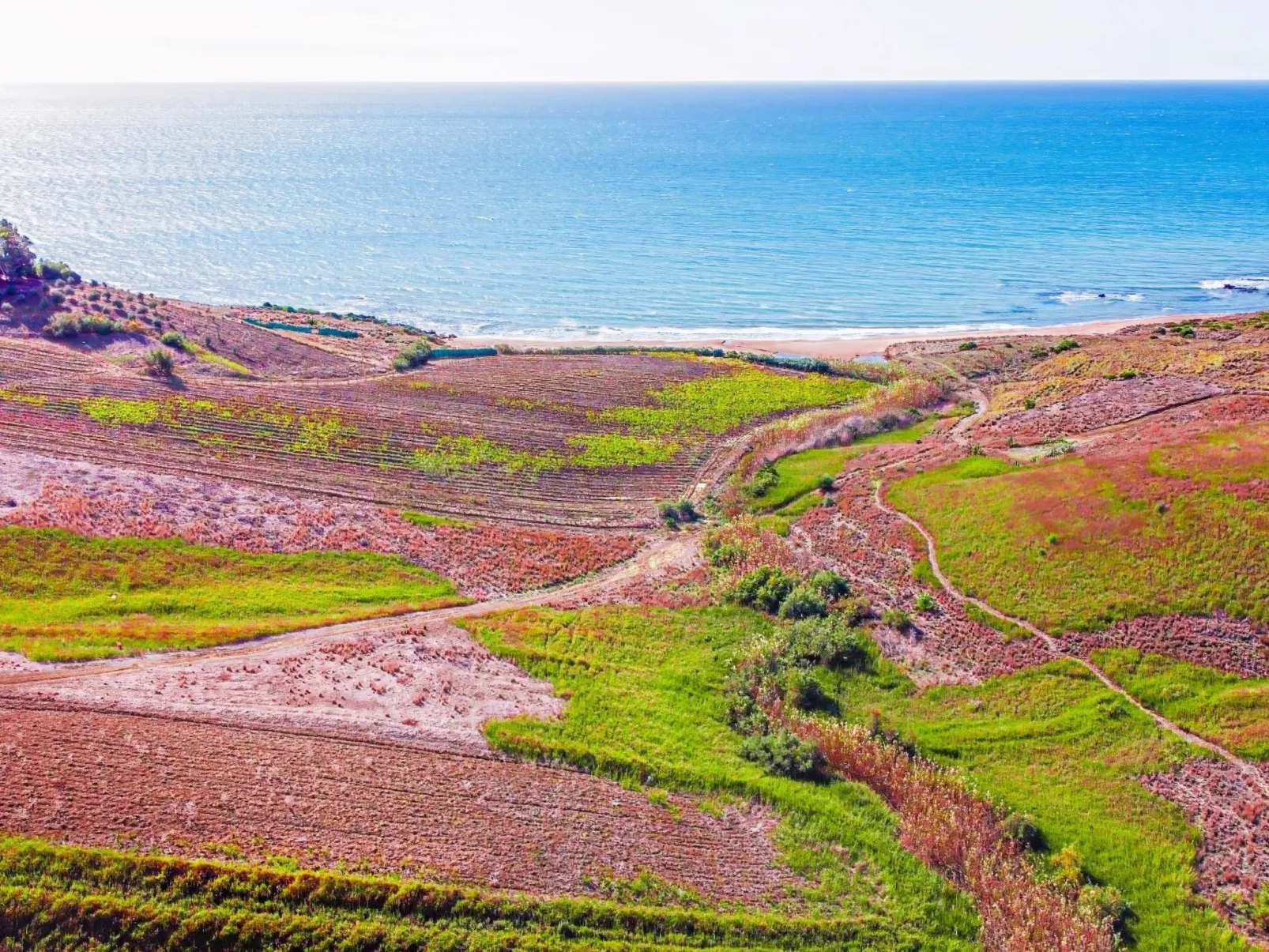 Villa Mamma Martinella-Dehors