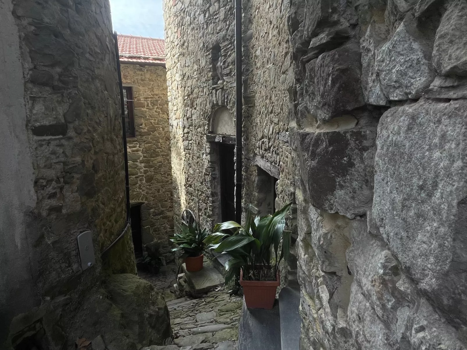 Couples' Delight by Holiday World