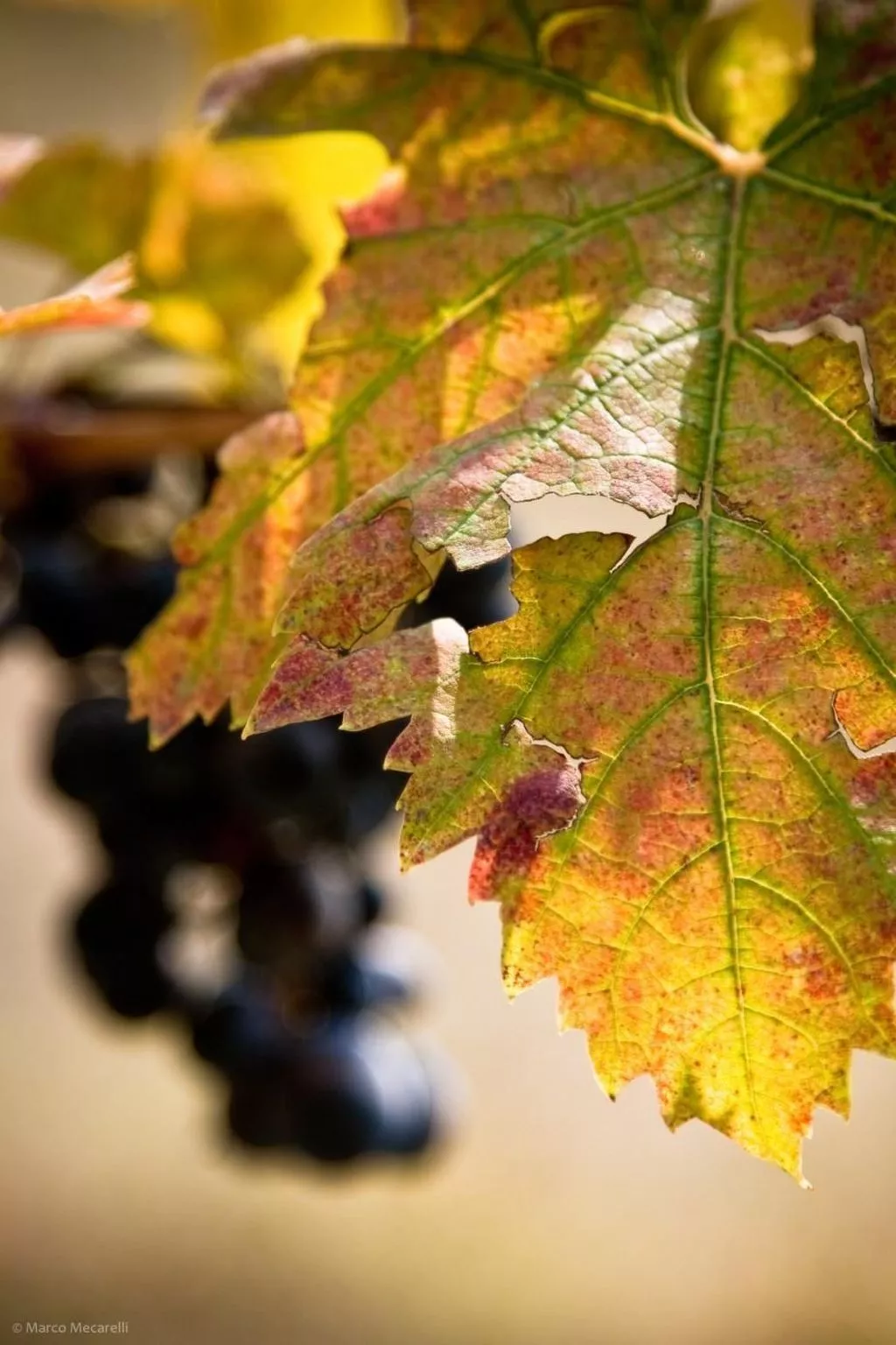 Bauernhof-Scheune-Image-tags.info