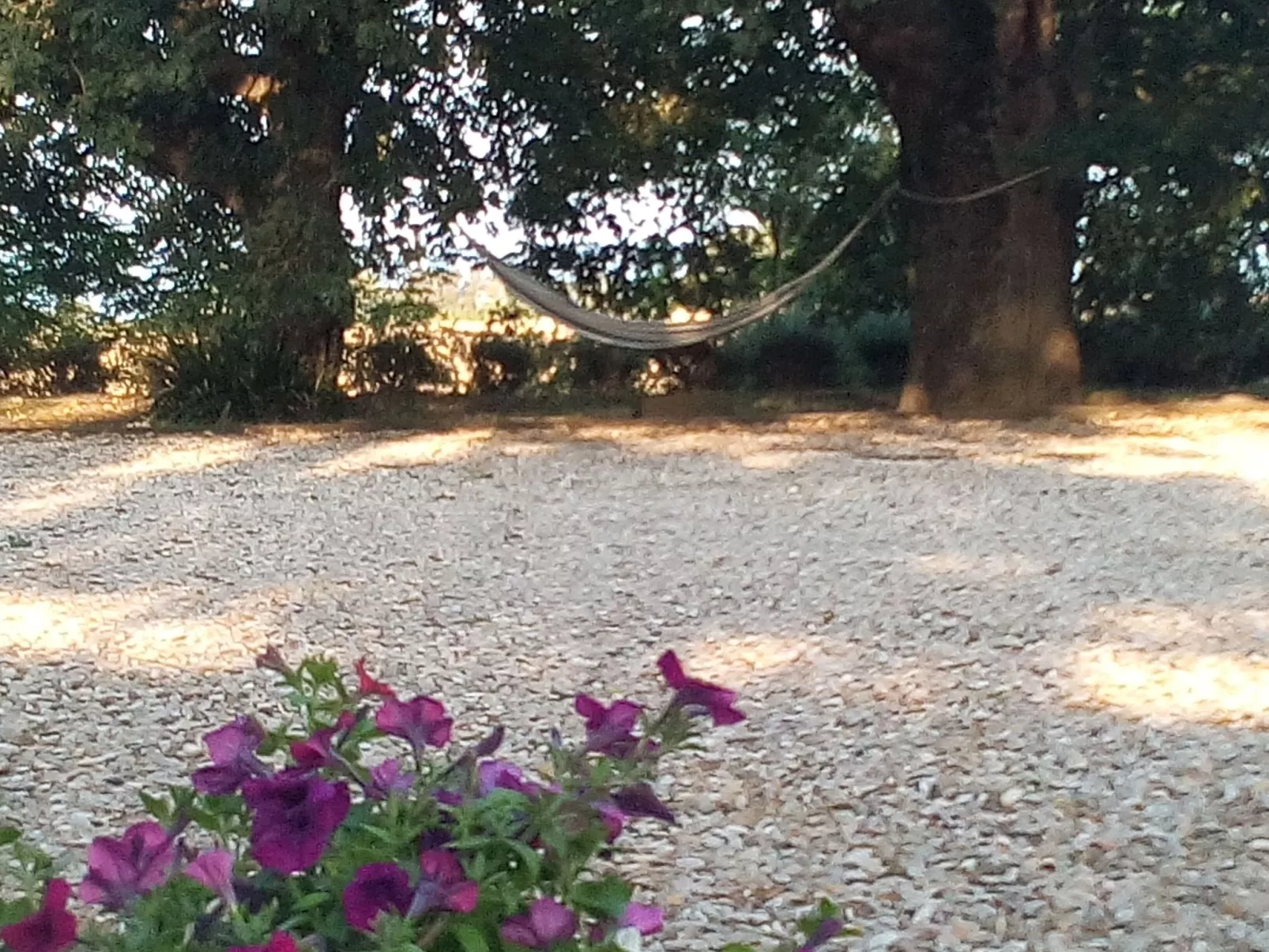 LaPorcilaia, Ferienwohnung mit Seeblick. - Image-tags.info