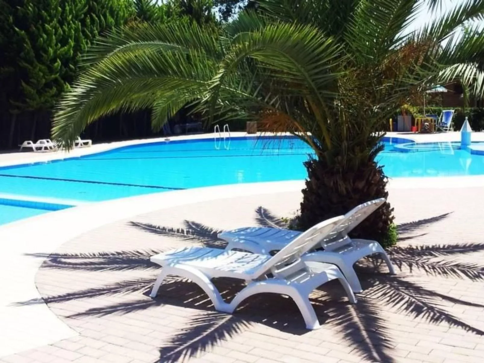 Wohnung in Viareggio mit Privatparkplatz-Outside