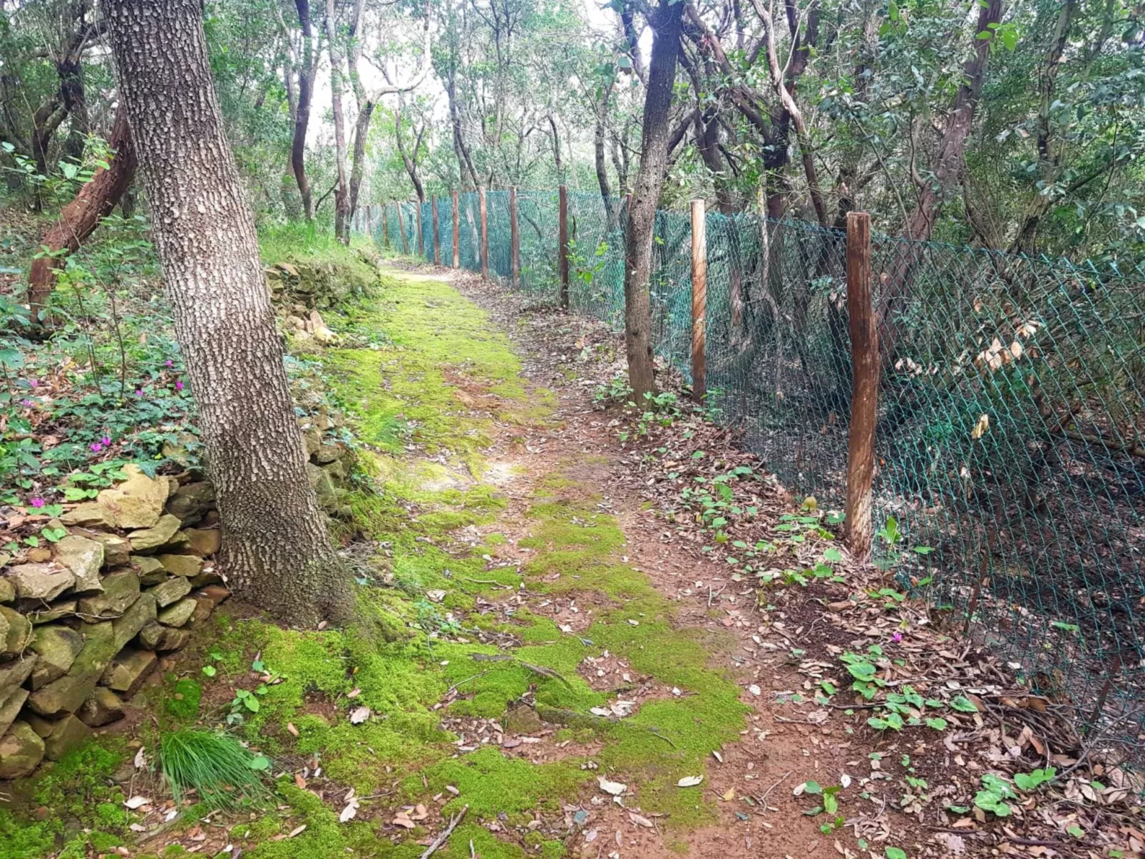 Wohnung zwischen Grün und Meer-Dehors