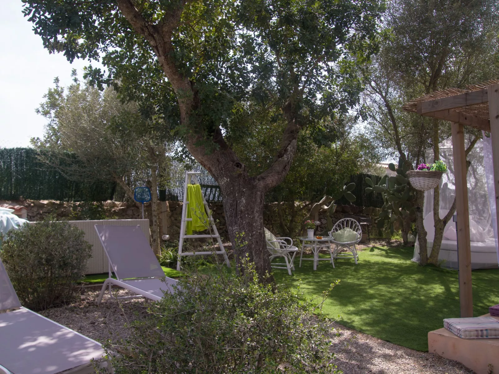 Kann Marc-Image-tags.info