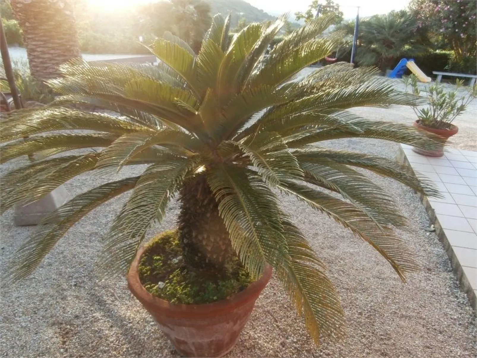 Wohnung mit Wasserblick