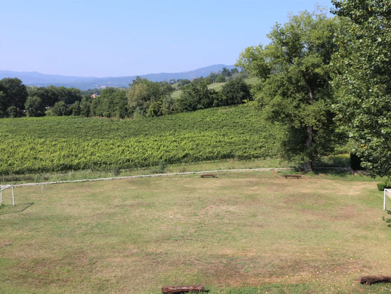 Schönes 1-Zimmer-Apartment-Outside