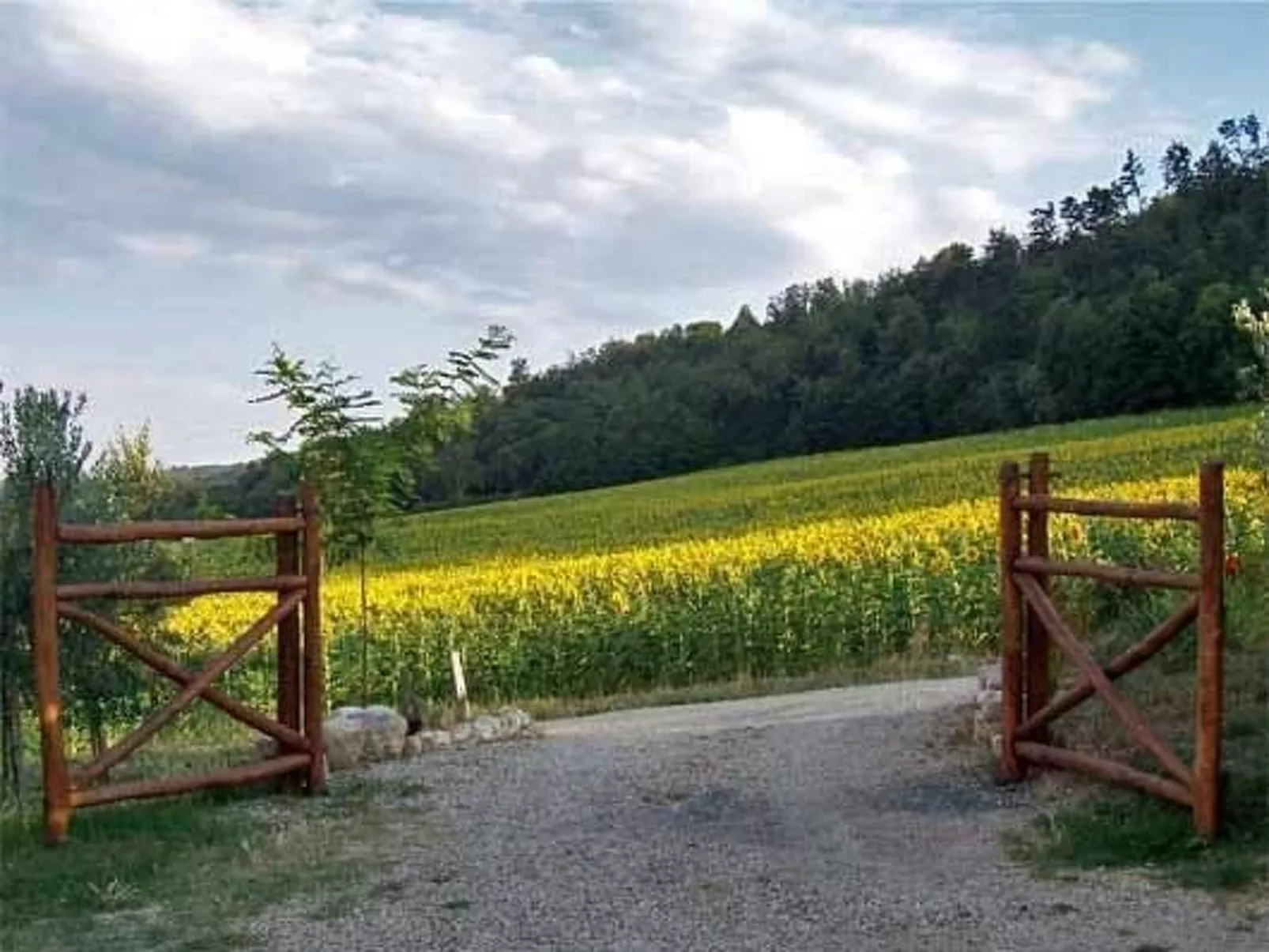 Großes Appartement-Outside
