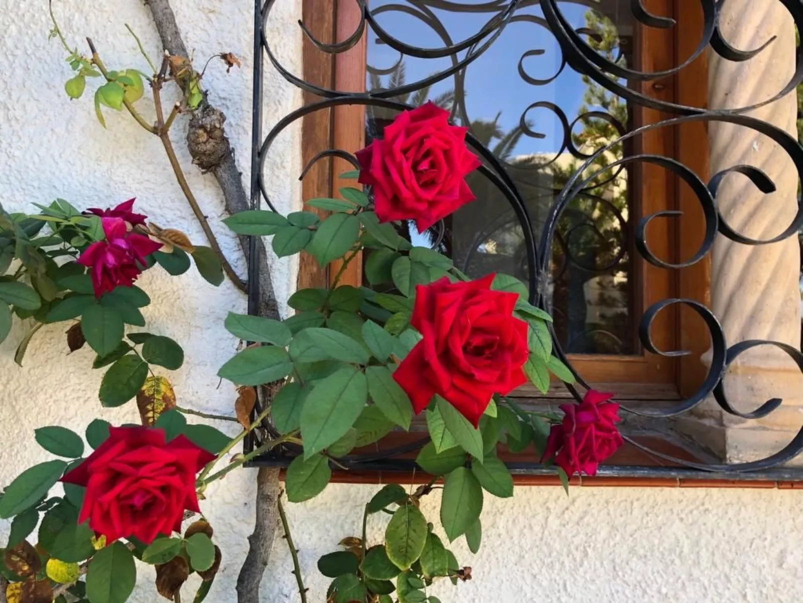 Villa mit einem Nebengebäude auf weitläufigem Garten in Strandnähe-Image-tags.info