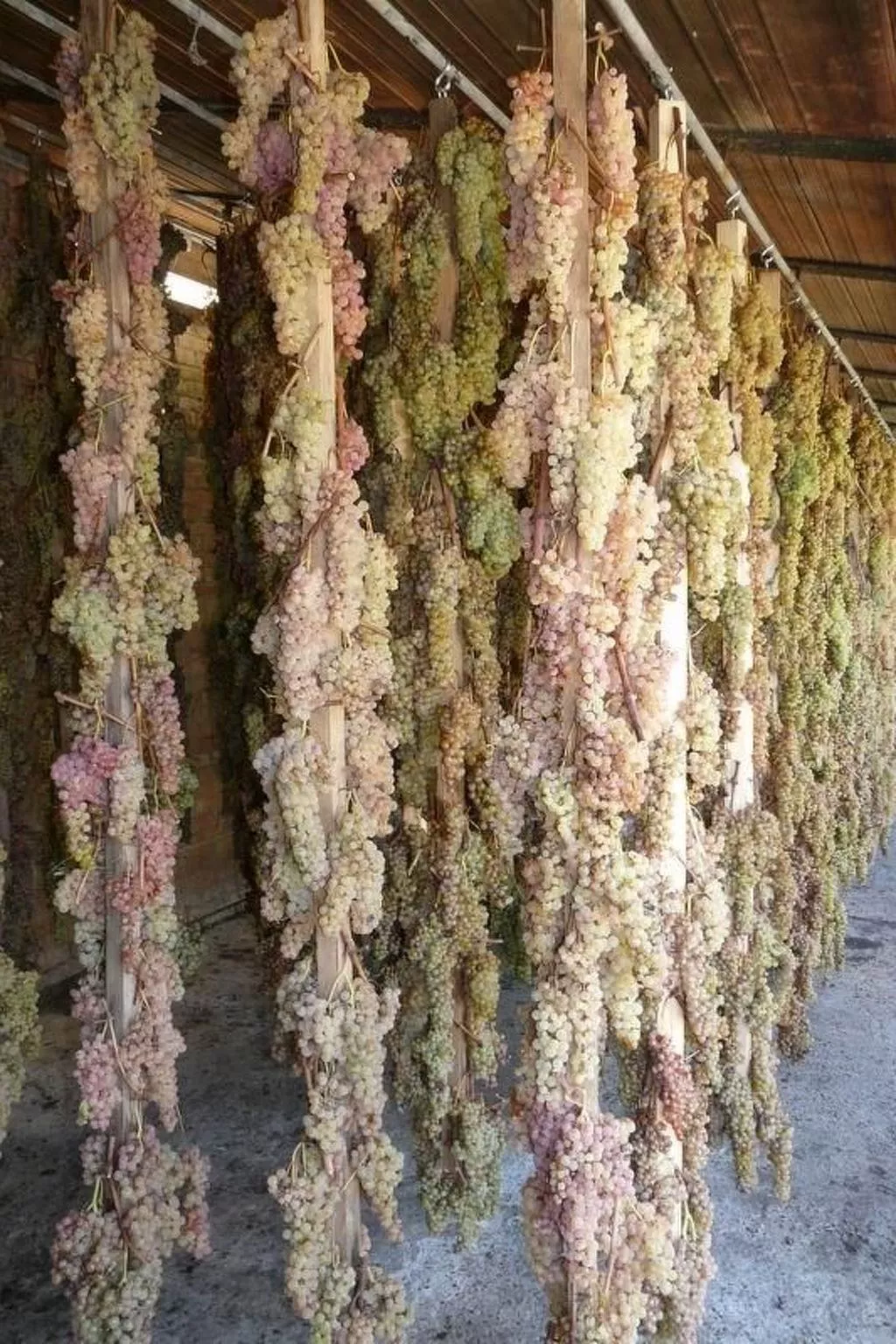 Schloss Selvole B2-Image-tags.info