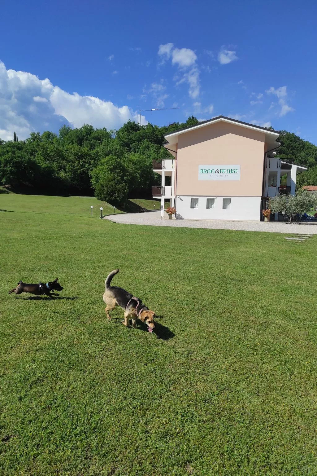 Wohnung in Costermano mit privatem Parkplatz-Dehors