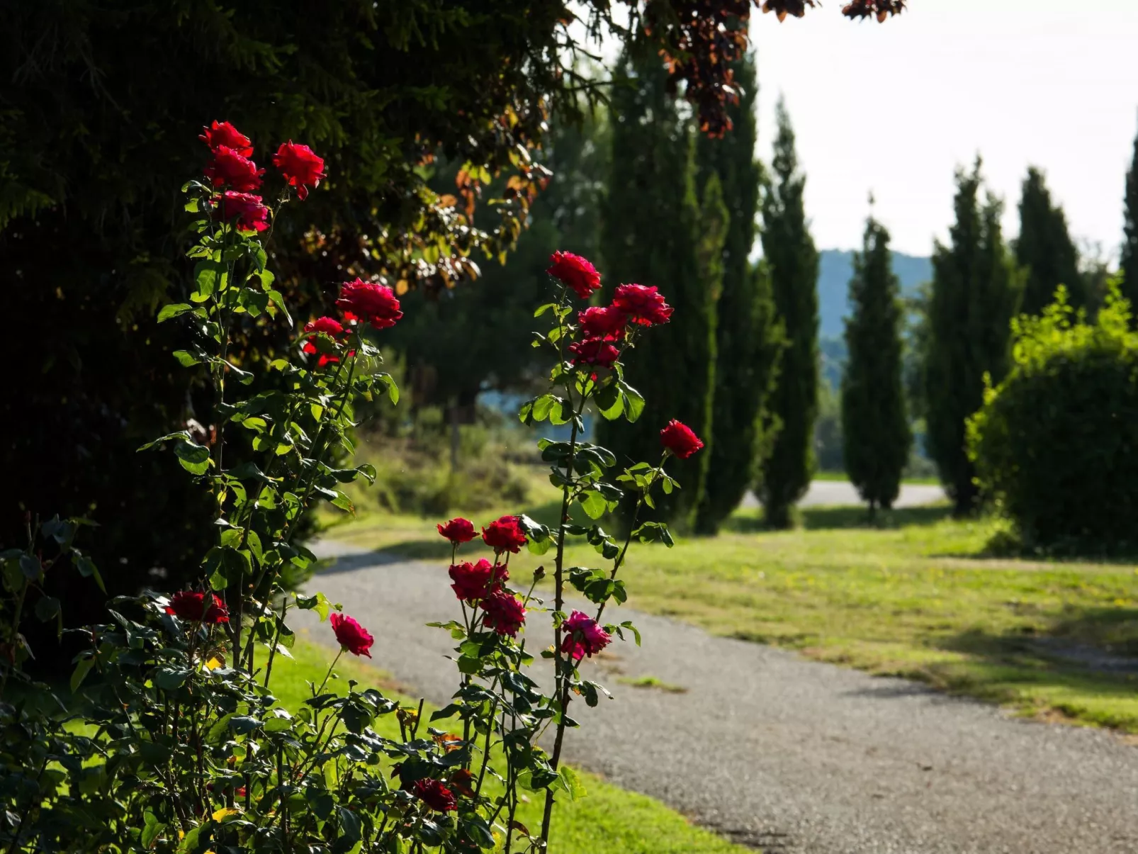 "Cobert del Carro".-Outside