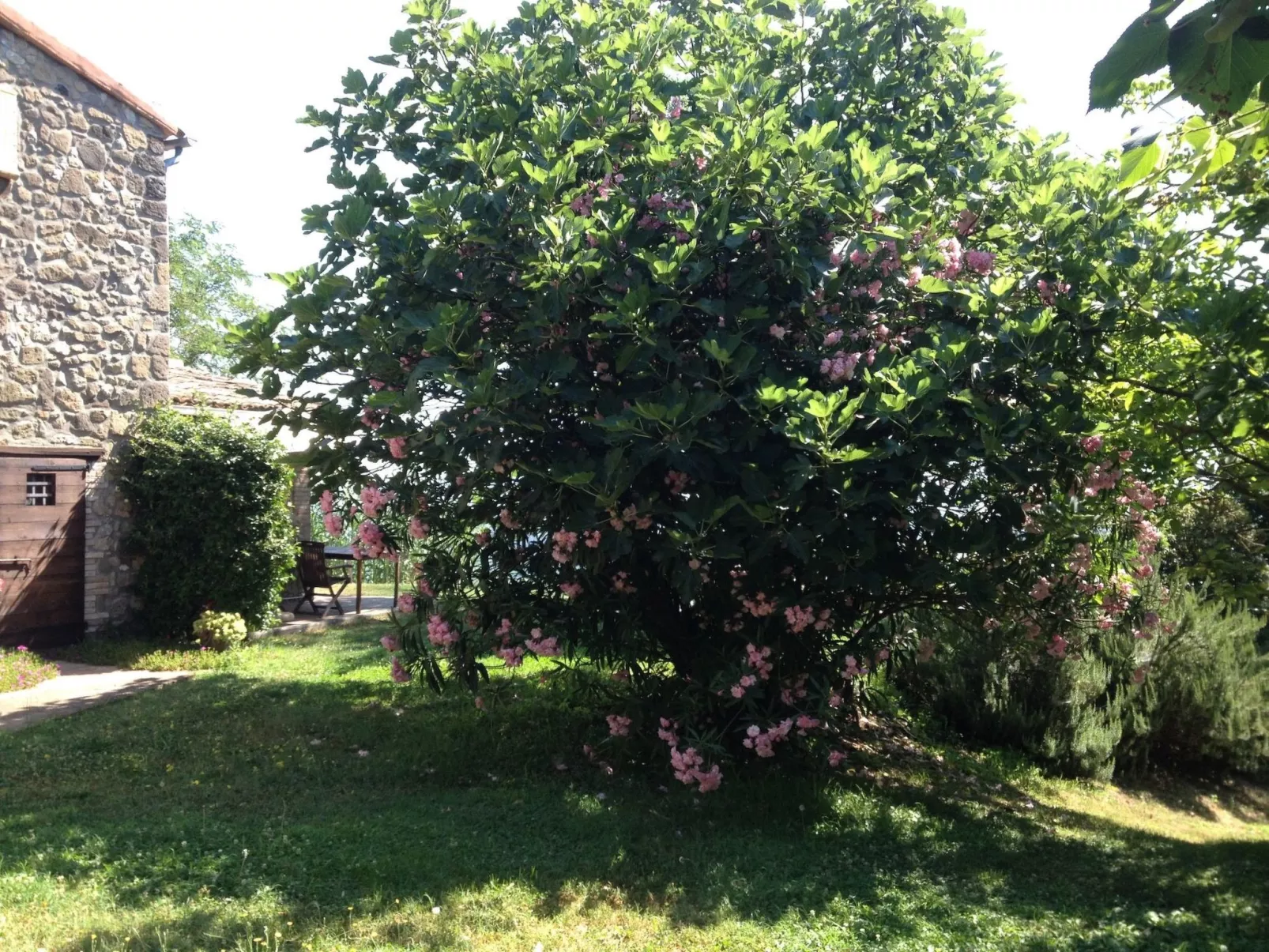 Studio für 2 bis 3 Personen-Image-tags.info