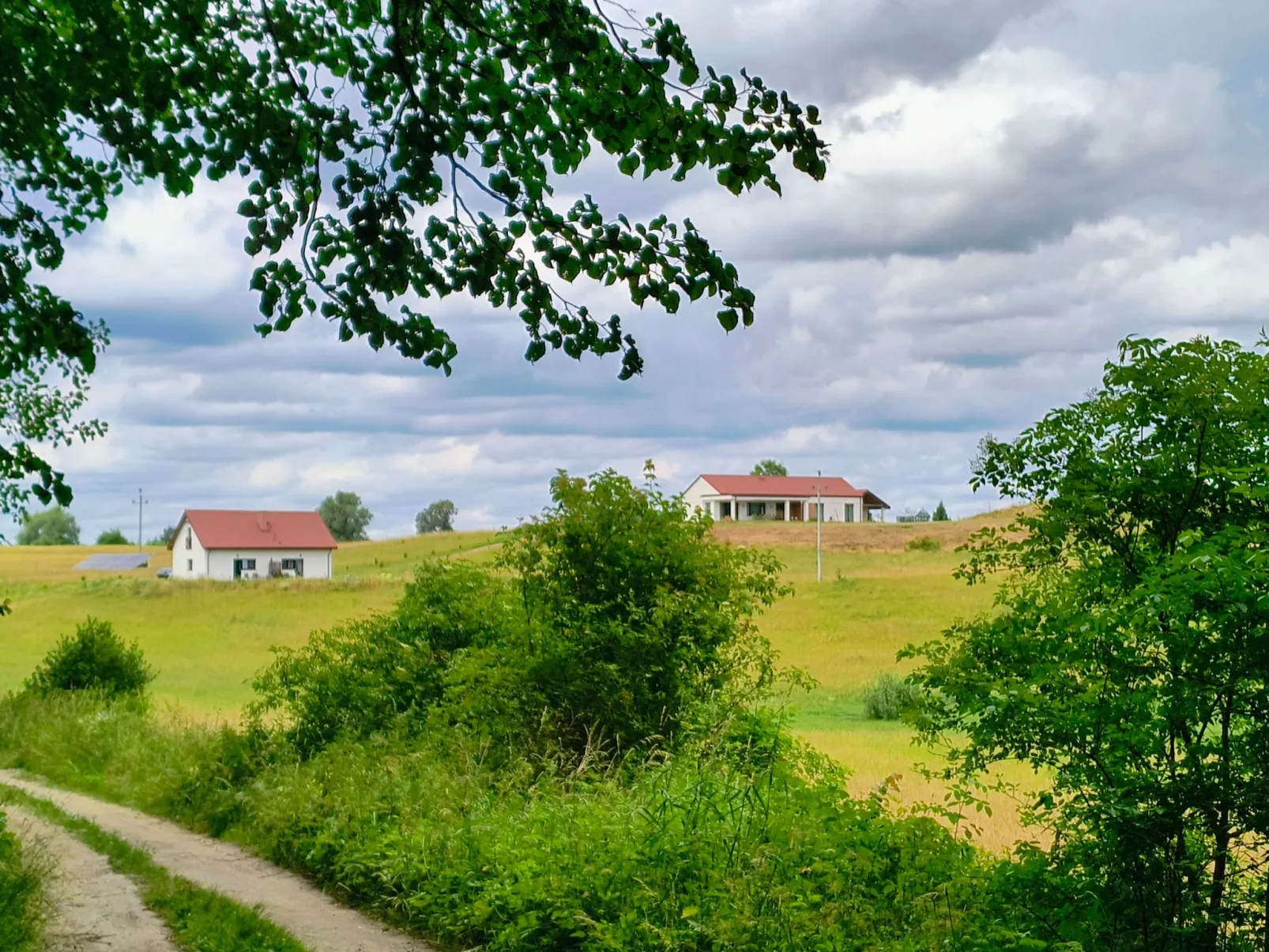 Vogelecke - abseits des Trubels und der Hektik-Image-tags.info